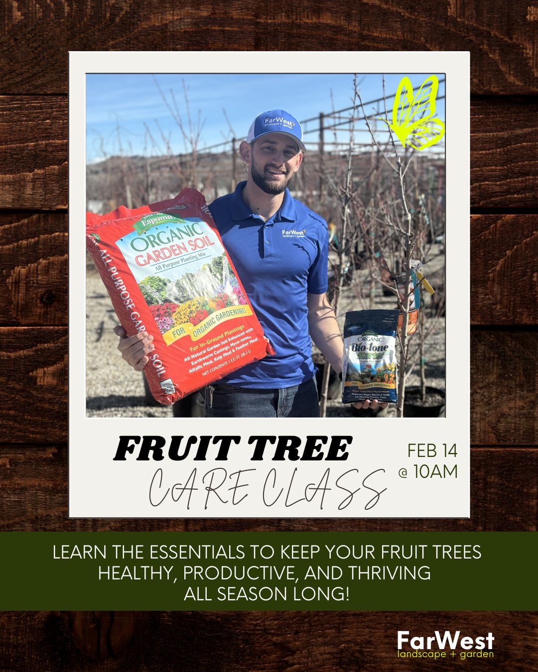 Fruit Tree Care Guidance for the Boise area