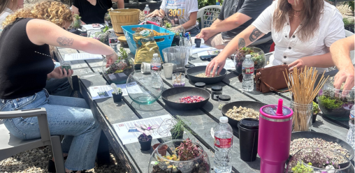 hands creating a terrarium in workshop
