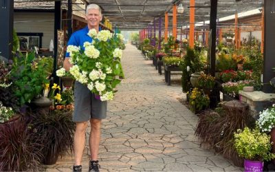 Discover the best late-summer and fall-blooming plants for Boise landscapes. Learn which perennials, shrubs, and flowers keep your garden colorful through fall.