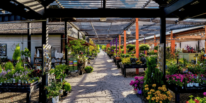 Planning your September garden in Boise? Use this fall gardening checklist to find out what to plant, prune, water, and do in your Boise garden this month.