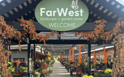 Garden Center Entrance with plants everywhere