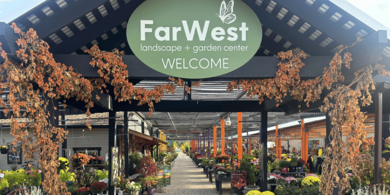 Garden Center Entrance with plants everywhere