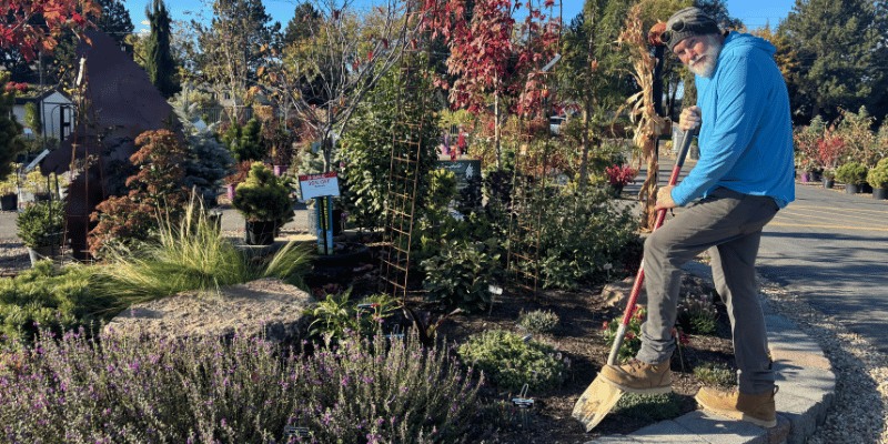 Man gardening planting in fall in boise